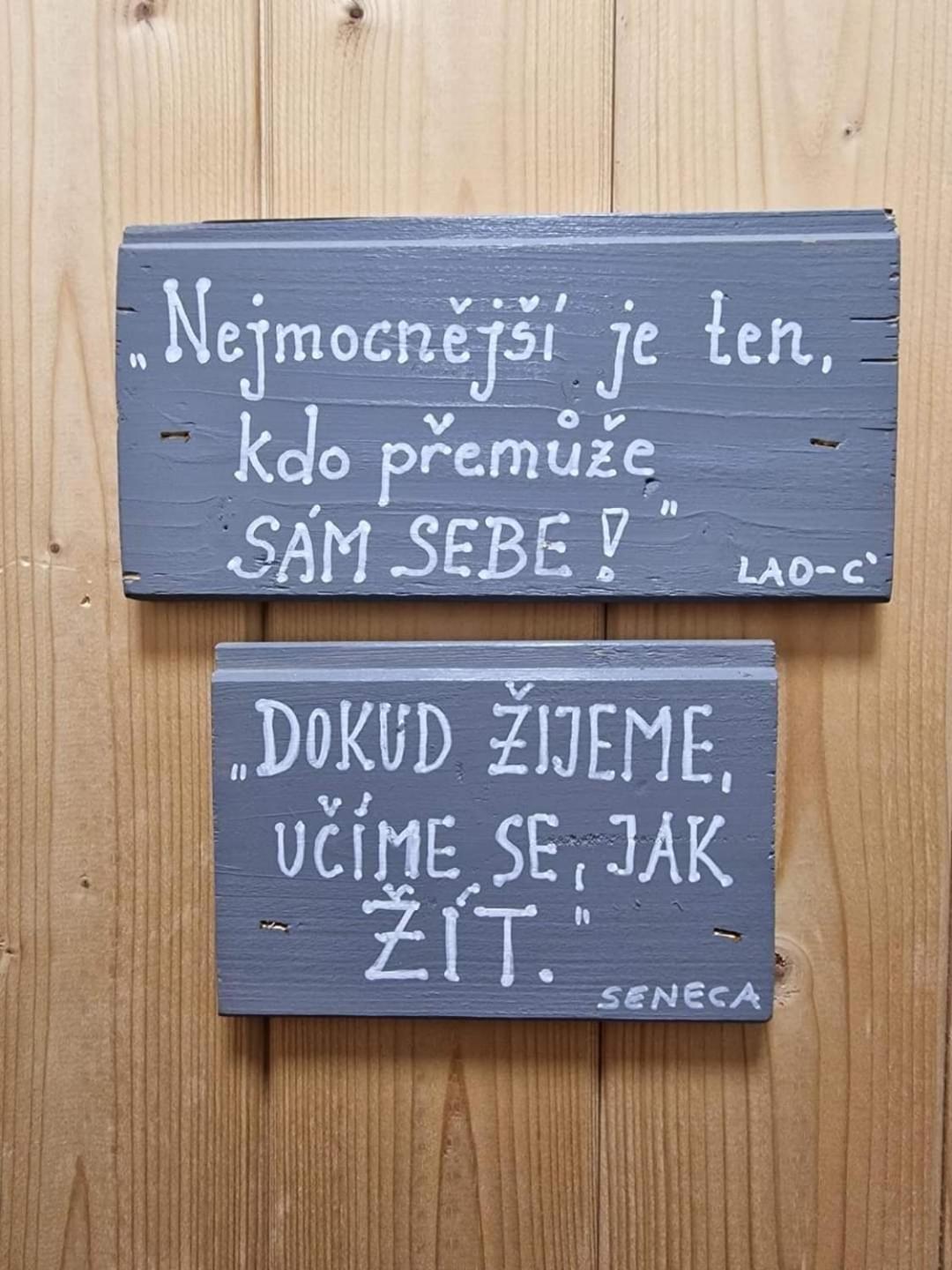 Penzion Slunecnice Kurimska Nova Ves エクステリア 写真